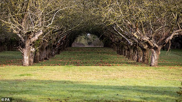 To Save The Environment Cambridge Council Will Destroy The Environment