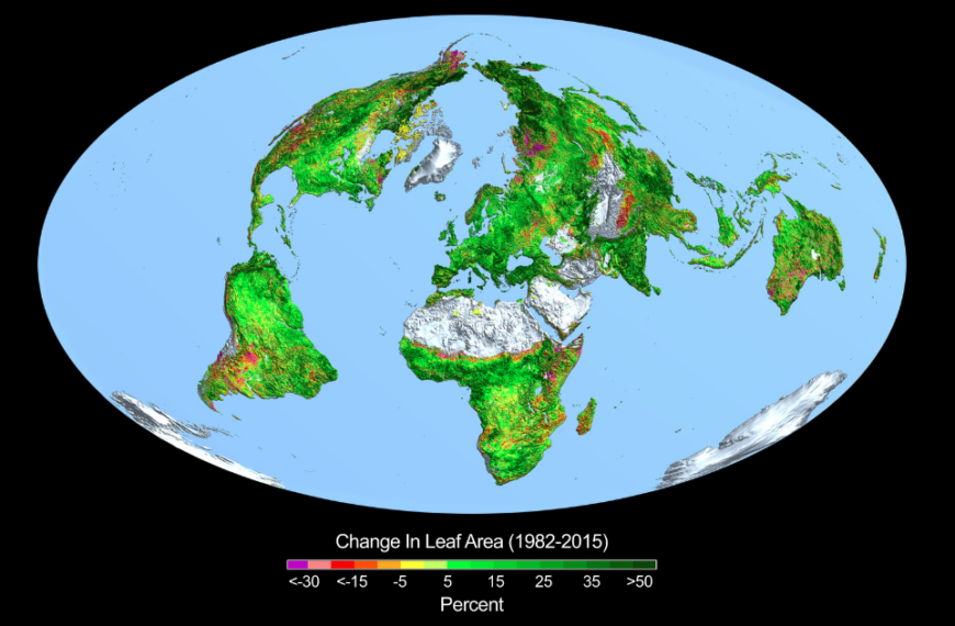 The Earth Is Getting Greener