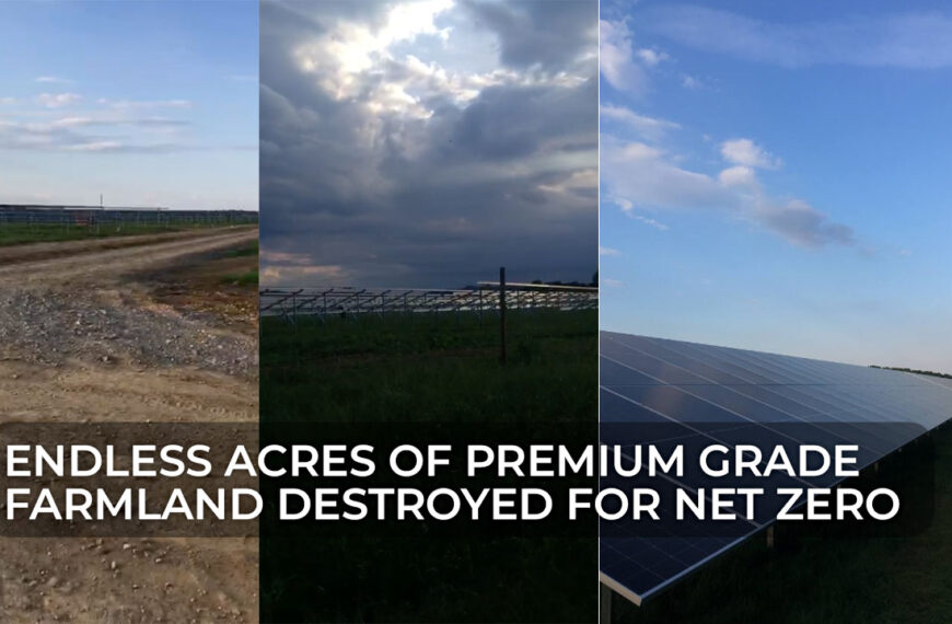 Endless Acres Of Premium Grade Farmland Destroyed For Solar Panels
