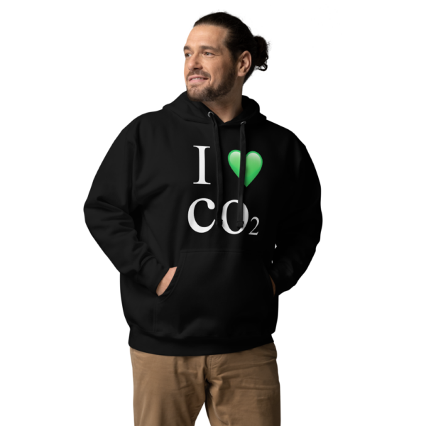 I Love CO2 Hoodie - Image 2