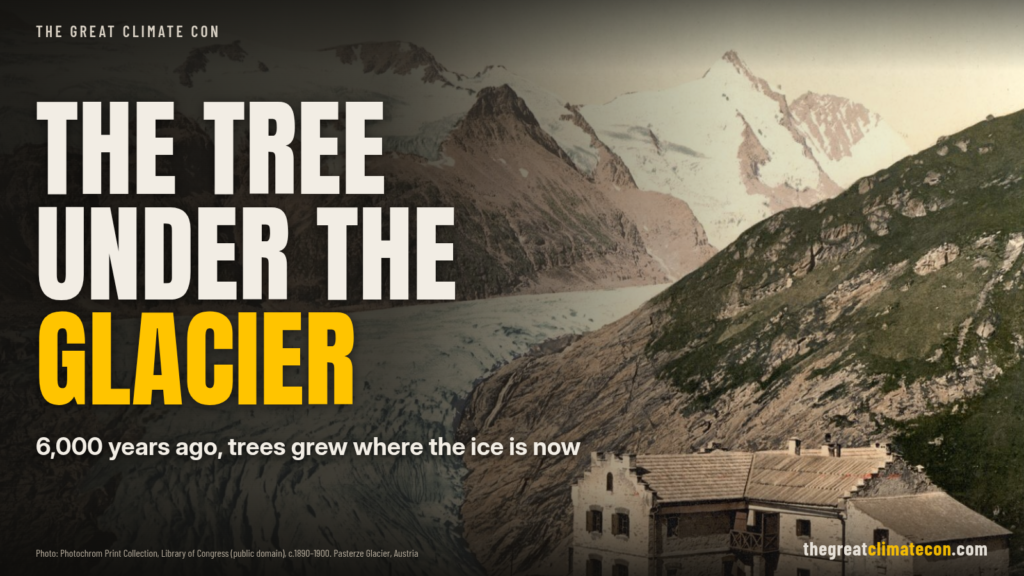 Headline graphic: The tree under the glacier, 6,000 years ago trees grew where the ice is now, over a c.1890 to 1900 colour photochrom of the Pasterze glacier and Grossglockner above the Glocknerhaus, Austria.