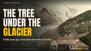 Headline graphic: The tree under the glacier, 6,000 years ago trees grew where the ice is now, over a c.1890 to 1900 colour photochrom of the Pasterze glacier and Grossglockner above the Glocknerhaus, Austria.