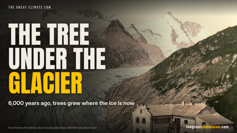 Headline graphic: The tree under the glacier, 6,000 years ago trees grew where the ice is now, over a c.1890 to 1900 colour photochrom of the Pasterze glacier and Grossglockner above the Glocknerhaus, Austria.